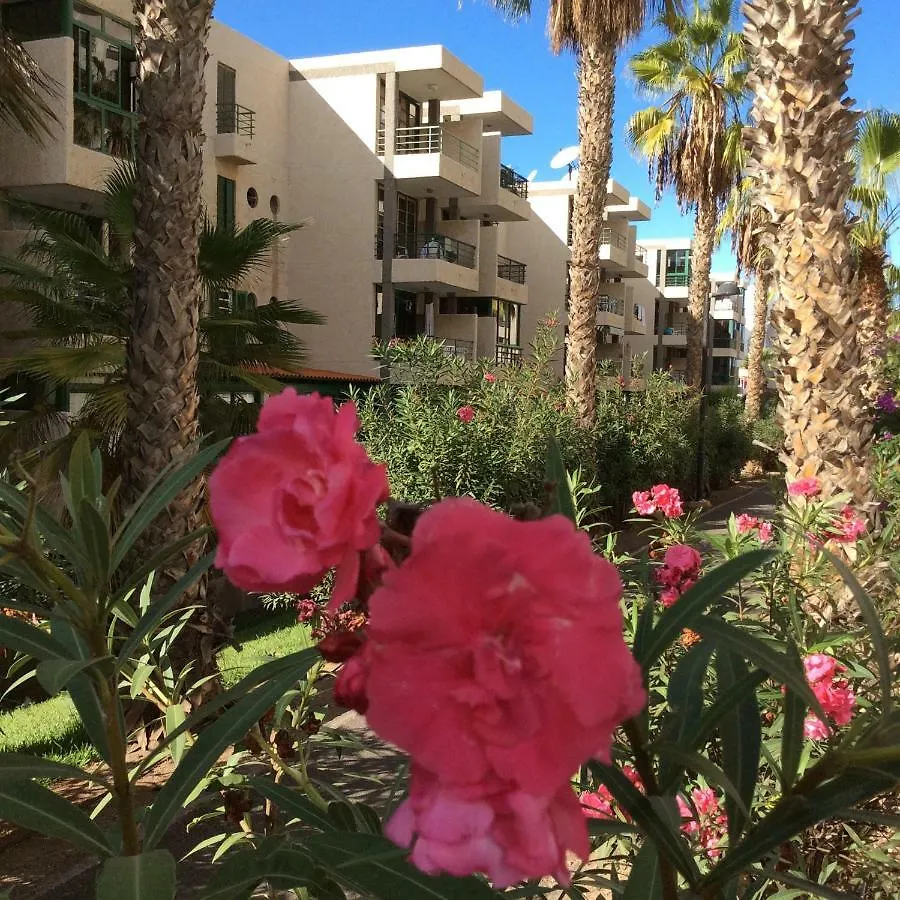 Las Vinas Playa de las Americas  Appartamento